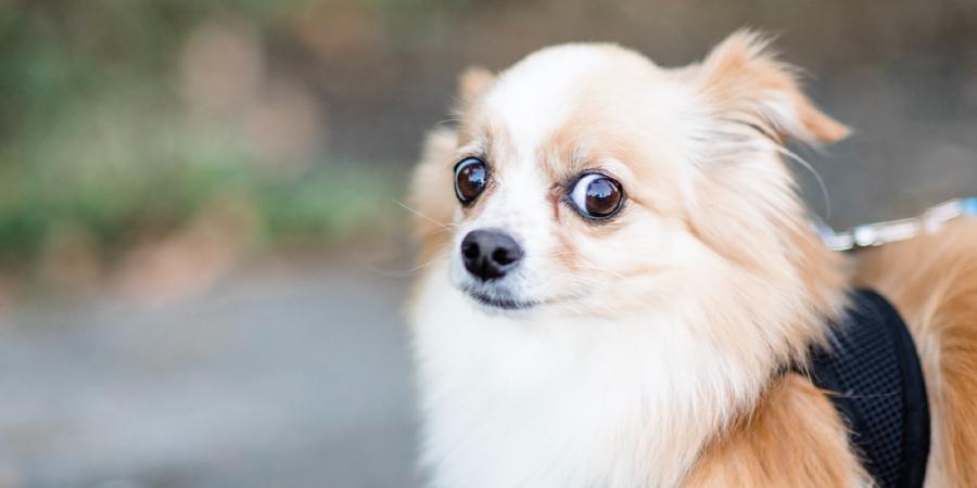 Nothing is true until proven otherwise